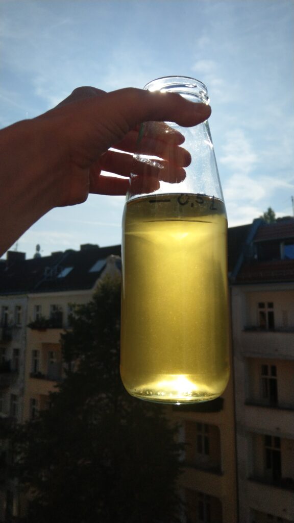 Eine Glasflasche mit durchsichtig gelber Flüssigkeit wird nach oben gegen die Sonne gehalten, so dass der Inhalt golden aufscheint. Im Hintergrund Häuser mit zahlreichen Balkonen.