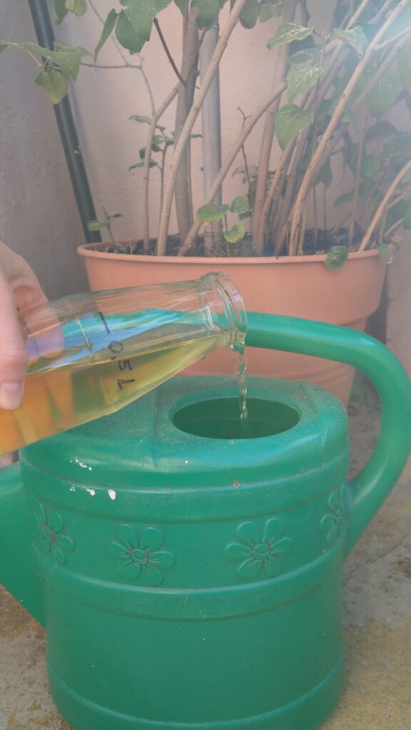 Aus einer Glasflasche wird eine gelbe Flüssigkeit in eine Gießkanne gegossen. Auf der Glasflasche ist per Hand eine Markierung gemacht mit dem Vermerk 0,5 L