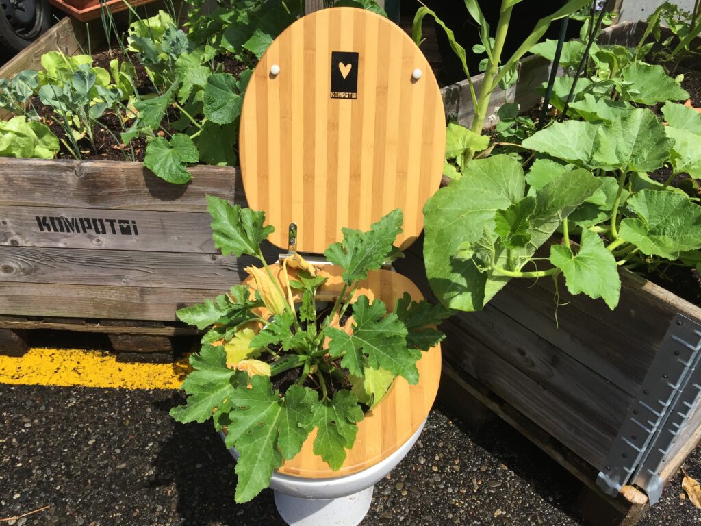 Kompotoi Trenntoilette mit Pflanze – Urin als wertvoller Rohstoff für natürlichen Dünger