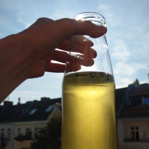 Flasche mit Urin in der Sonne – Goldwasser als kostenloser Flüssigdünger