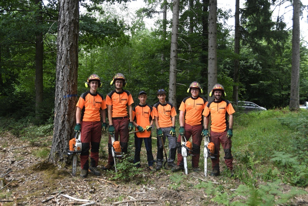Team des Forstbetriebs Studenland mit Forstausrüstung und Motorsägen im Wald.